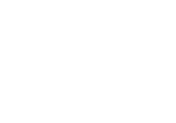 BoldItalic